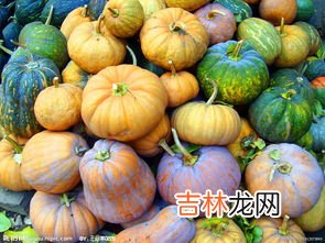 南瓜秧头怎么吃,南瓜秧尖的做法大全