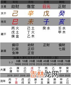 日支是什么,日支和时支是什么