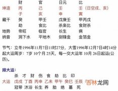 日支是什么,日支和时支是什么