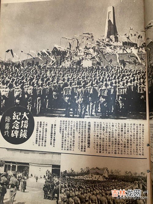 日支是什么,日支和时支是什么