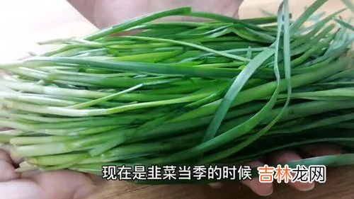 韭菜怎么种植方法,韭菜怎么种植