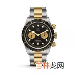 帝舵手表什么价位?顶级、尊贵品牌的价格分析,瑞士名表劳力士 帝舵表报价 价格多少钱