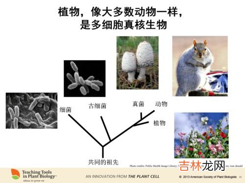 回南天所代表的的是什么意思,回南天是什么意思?具体有什么体现?