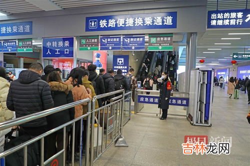 绵阳拍摄到野生大熊猫深夜“打卡”,四川白水河时隔6年又再现野生大熊猫了?