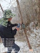 绵阳拍摄到野生大熊猫深夜“打卡”,四川白水河时隔6年又再现野生大熊猫了？