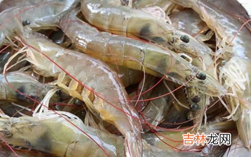 虾可以放冰箱冷冻多久,虾在冰箱里冷冻多久不能吃