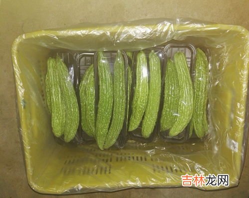 苦瓜怎样储存,苦瓜怎么保存时间长