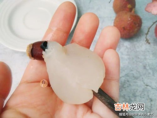荔枝可以用水泡着吗,荔枝买回来之后，要用水泡吗？