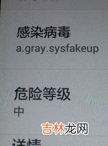 华为手机怎么让恶意软件安装新应用,华为手机发现恶意应用怎么继续安装