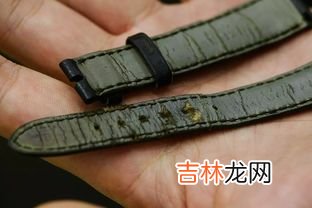 换表带怎么看尺寸,手表的表带长度怎么计算？