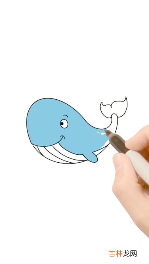 鲸鱼怎么画,海里的鲸鱼怎么画