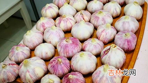 辣椒多久发芽,辣椒多久发芽