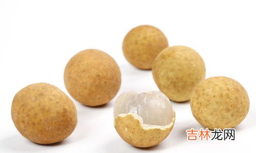 龙眼的种植方法,龙眼的种植方法及养殖技巧