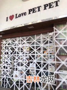 玻璃门上的胶怎么去除,玻璃门上的胶怎么去除 玻璃门上的胶如何去除