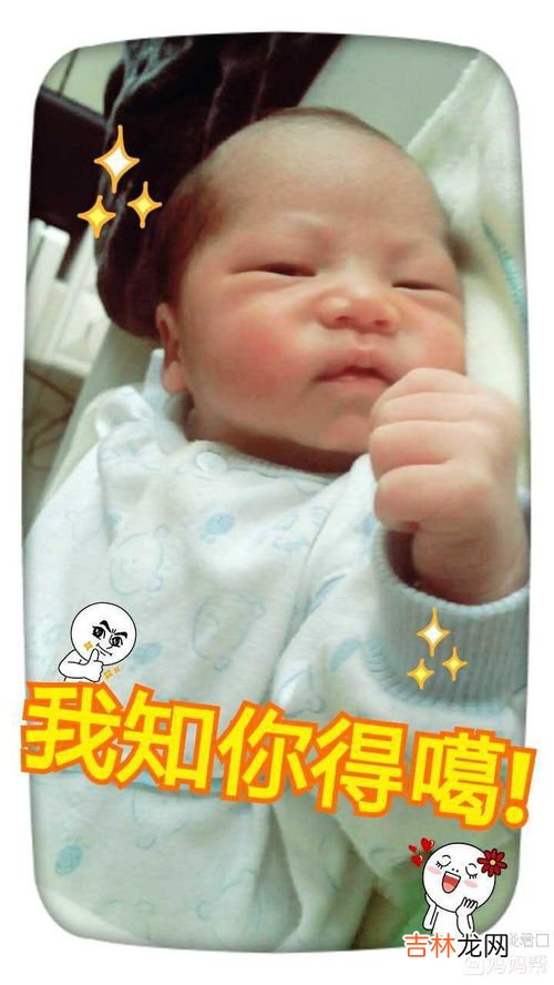 丑萌是什么意思,丑萌是什么意思 丑萌的解释