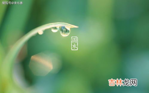 2023年雨水节气是在几月几日,2023年节日节气表