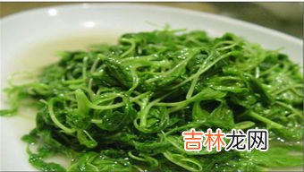 莼菜是什么菜,莼菜是什么菜