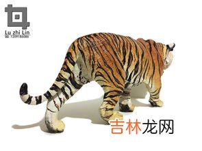 老虎用颜料怎么涂,你能教我怎么画老虎吗
