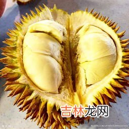 榴莲可以和芒果一起吃吗,吃完榴莲可以吃芒果吗 吃完榴莲可以吃香蕉吗