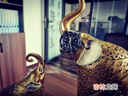 手表保修期内保养要收费吗,劳力士质保期内更换机芯收费吗