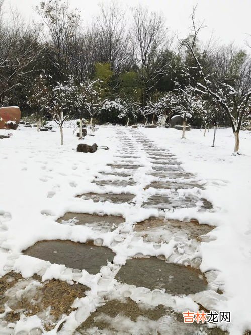 下雪了,下雪了作文