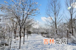 下雪了,下雪了作文
