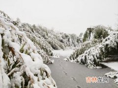 下雪了,下雪了作文