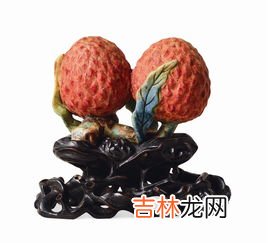 荔枝代表什么寓意,荔枝有什么寓意和象征