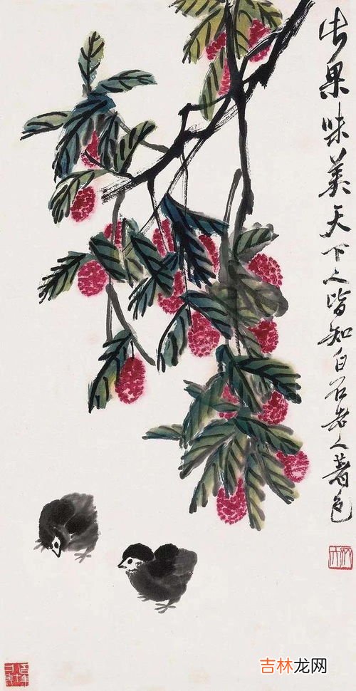 荔枝代表什么寓意,荔枝有什么寓意和象征