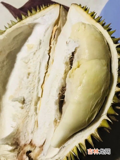 桃子可以和葡萄一起吃吗,葡萄和桃子能一起吃吗