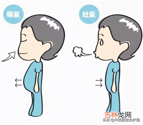 呼吸器官防护用品按功能主要分为,呼吸防护装备按防护原理可分为什么？