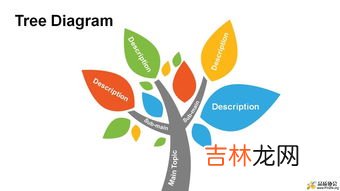 qc和qa的区别在哪里,qa和qc的区别是什么?