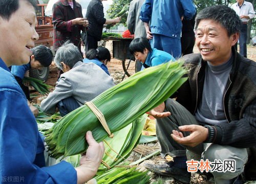 粽叶怎么长期保存,粽叶怎么保存最好 粽子叶是晒干好还是阴干好