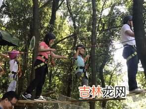 森林里还有谁是气象站,森林里还有哪些森林气象站