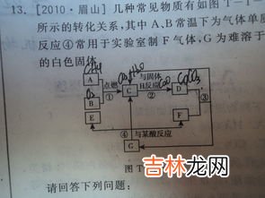 碘单质是固体吗,化学中的碘是什么颜色