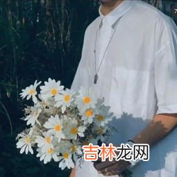 苣荬菜大图图片集览!口味独特,苦菜有几种图片