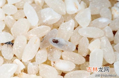 大米生虫子处理小诀窍,大米生虫子处理小诀窍是什么?冰箱冷冻能够把米虫冻死吗?