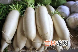 白萝卜不能和什么一起吃,萝卜不可以和什么食物一起吃?