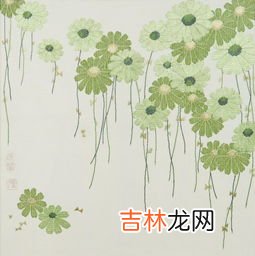 金鱼藻和绿菊的区别,金鱼藻和马齿苋有什么相同点一年级?