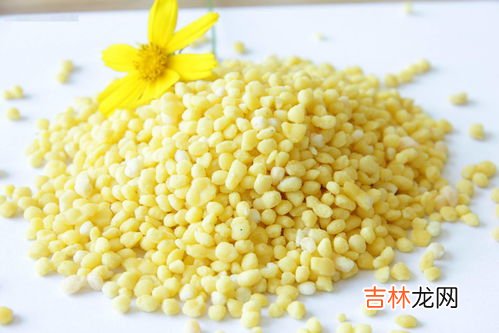 氮肥有哪些,常见的氮肥有哪些