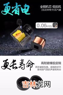 金鱼缸怎么选择氧气泵,怎么用氧气泵养鱼才是正确的啊？