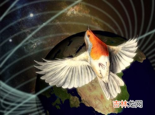 土耳其地震发生前鸟类出现异常行为有哪些,列举五种动物在地震发生时是如何反应的