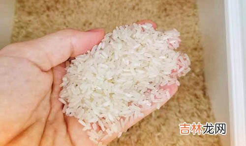 粳米是什么米,粳米是什么米？