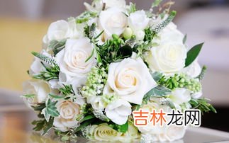 道歉送什么花,道歉送什么花比较好
