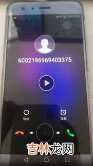 95066是什么电话,95066是什么号码