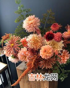 进入冬季后花卉养护应该如何进行,冬天如何养护花草?