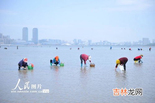 干潮适合赶海吗,威海赶海时间表2016