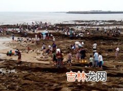 干潮适合赶海吗,威海赶海时间表2016