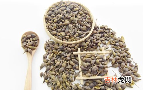 连翘的功效与作用及禁忌,连翘的功效与作用副作用与禁忌