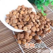 苦杏仁的功效与作用及食用方法,杏仁的功效与作用及食用方法